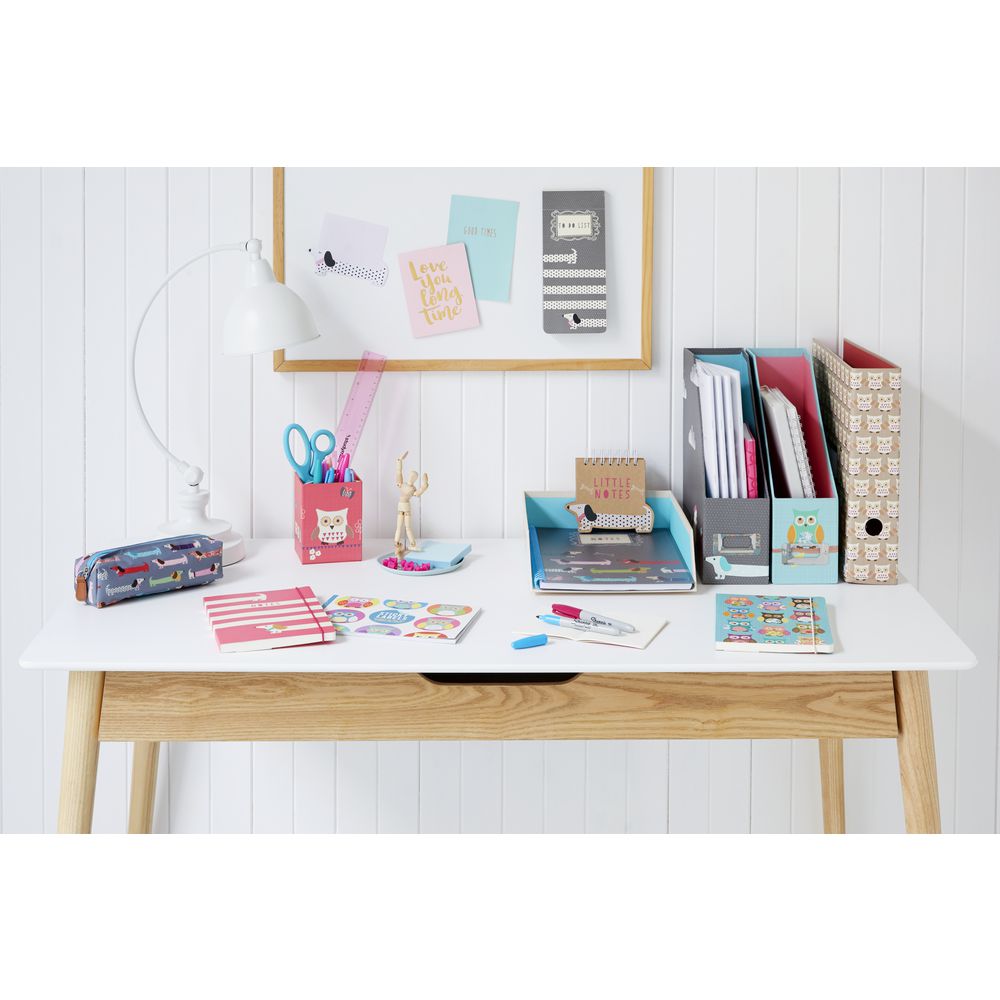 GO Stationery Tube Pencil Case Owls